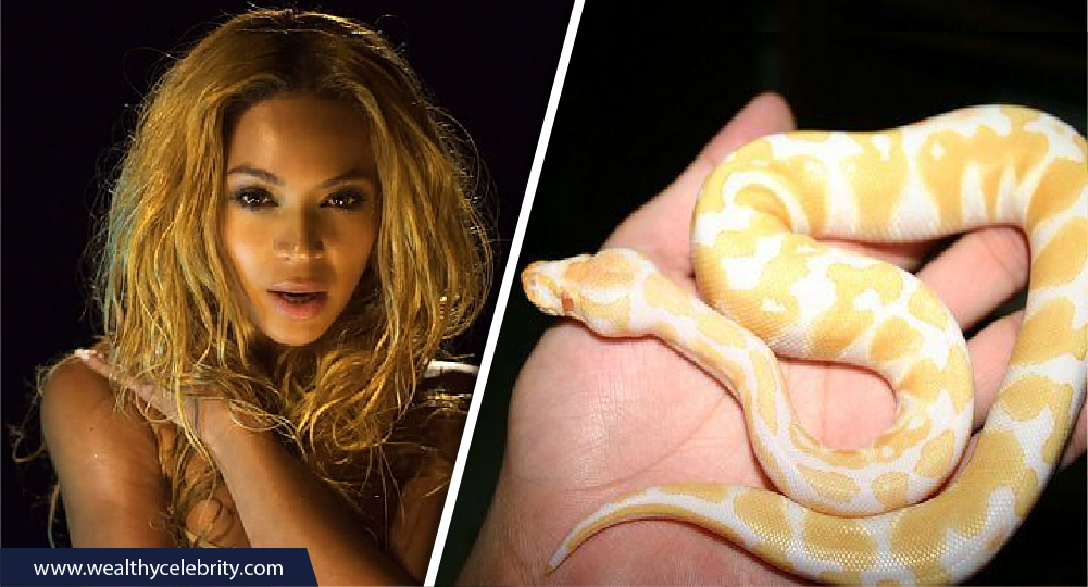 Beyonce and Snake