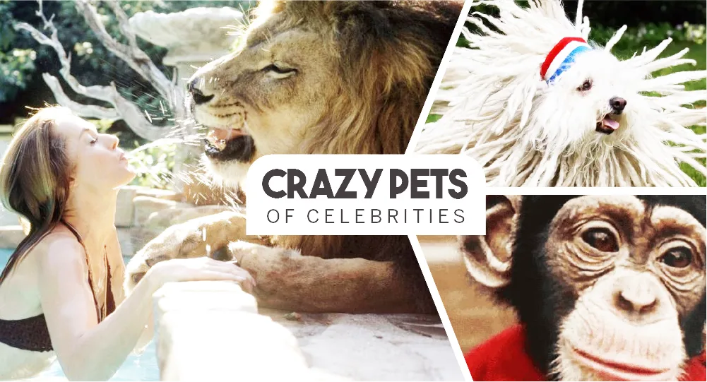 Crazy Pets of Famous Celebrities