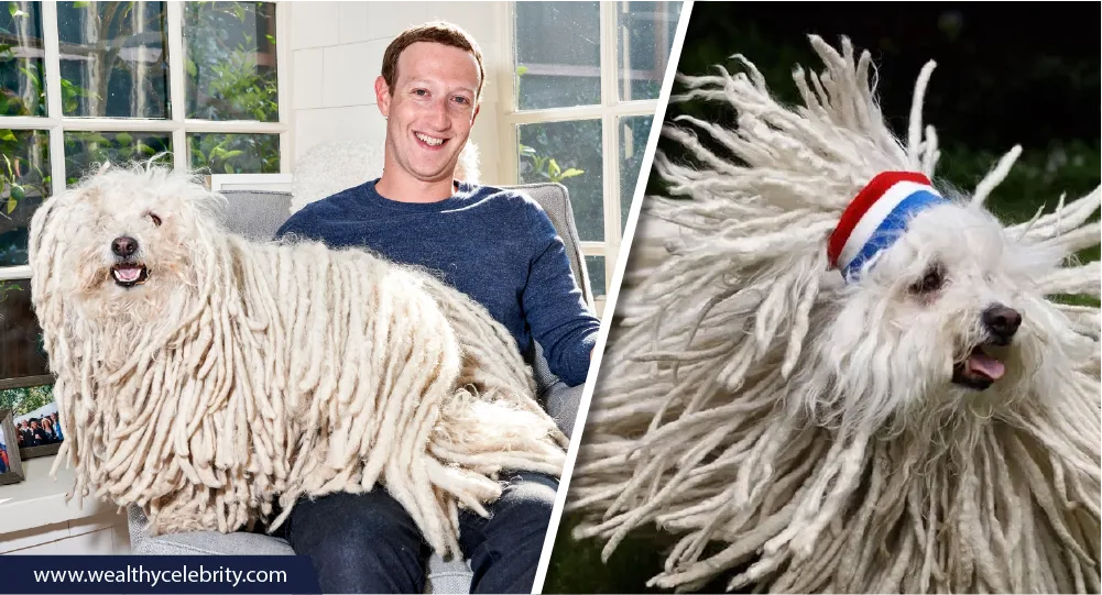 Mark Zuckerberg dog