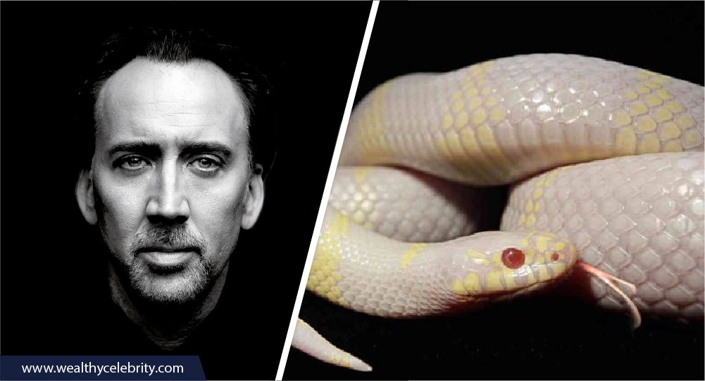 Nicolas Cage and Albino Cobras
