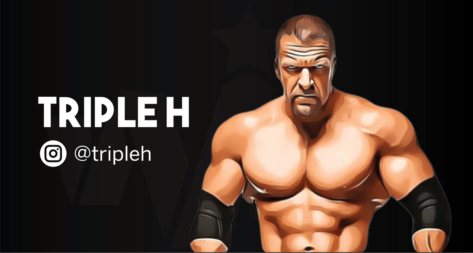Triple H WWE_Insta Followers_Net Worth