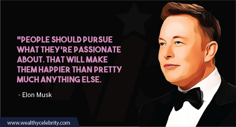 Elon Musk Motivational Quotes about following passion