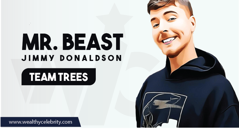 Mr Beast Team Trees
