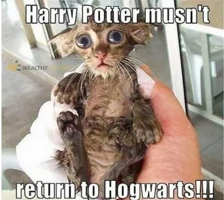 Harry Potter mustn't return to hogwarts