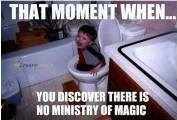 Magic Meme - Harry potter meme