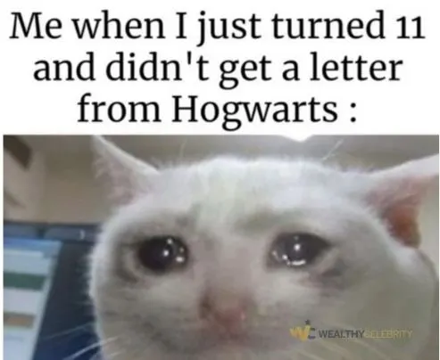 Me when I just turned 11 and didn't get a letter from Hogwarts