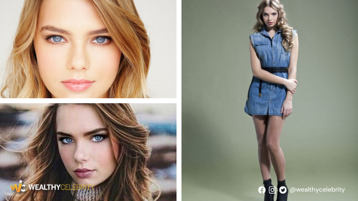 Indiana Evans Physical Traits