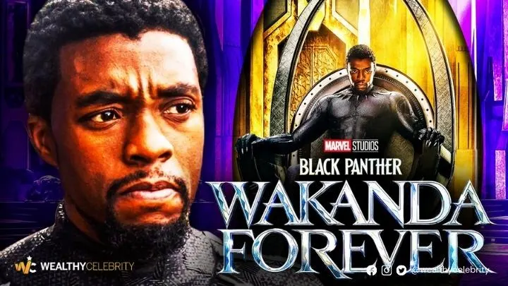 Black Panther Wakanda Forever !!