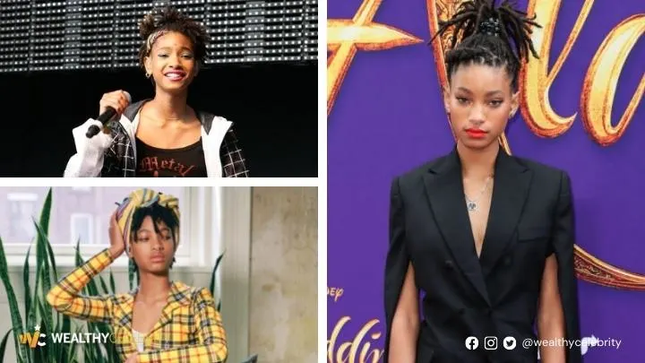 Willow Smith Career Insight
