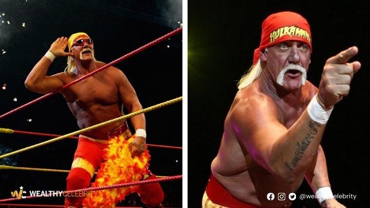 Hulk Hogan Bio