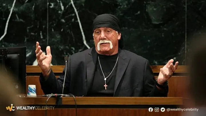 Hulk Hogan Former Wrestler