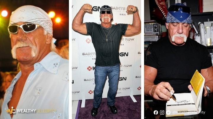 Hulk Hogan Physical traits Hulk Hogan Physical traits