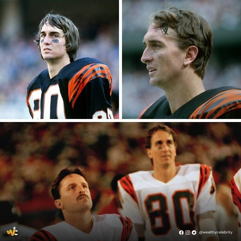 Cris Collinsworth Playing forf bengal