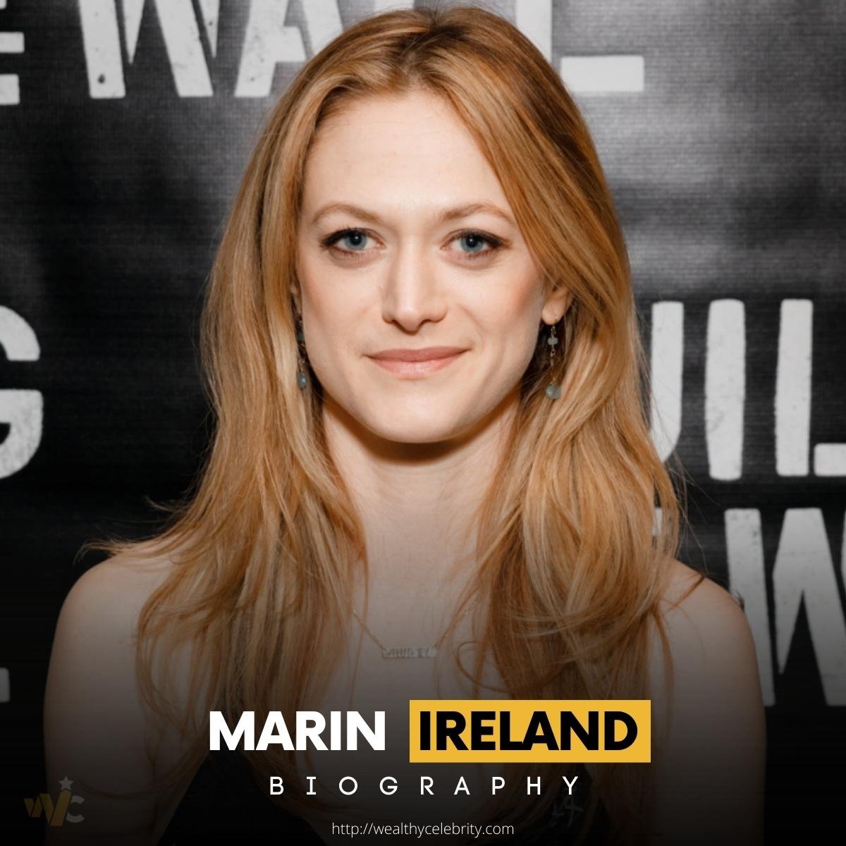 Who is Marin Ireland? Interesting Facts To Know About Her