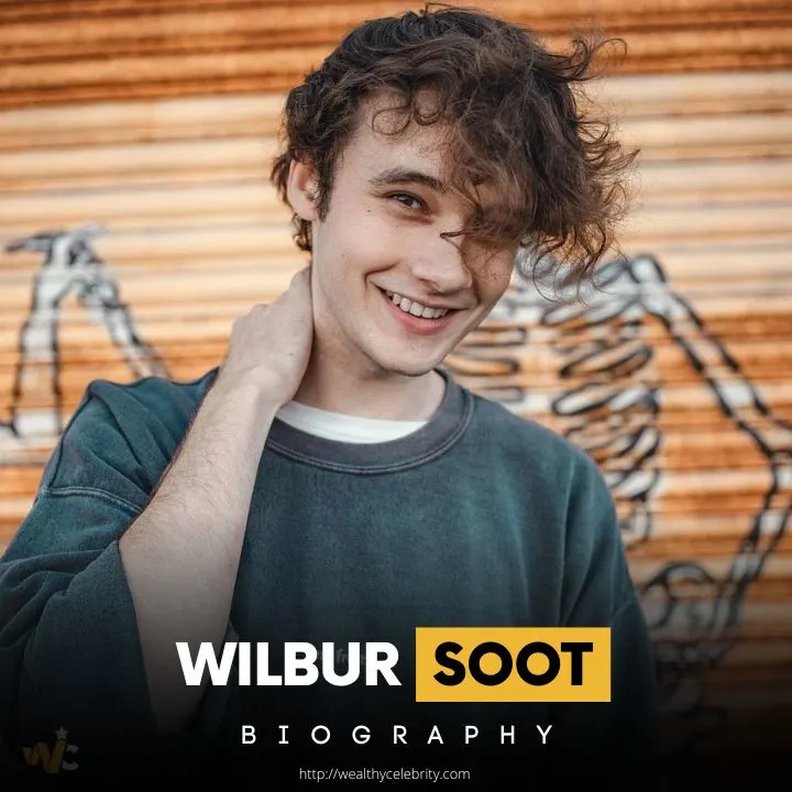 All About Wilbur Soot (YouTuber), Know His Height, Net Worth and More