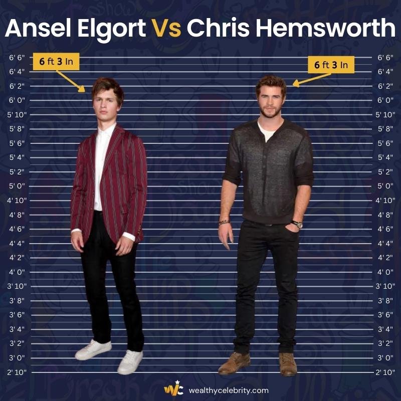 Ansel Elgort Height Vs Chris Hemsworth