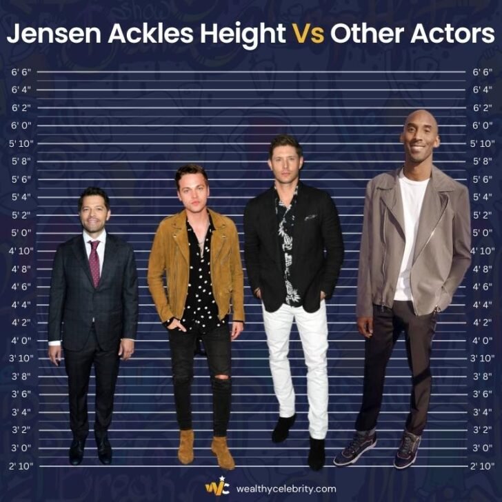 Is Jensen Ackles Height Too Short? Let’s Compare His Height With Other